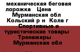 механическая беговая лорожка › Цена ­ 3 000 - Мурманская обл., Кольский р-н, Кола г. Спортивные и туристические товары » Тренажеры   . Мурманская обл.